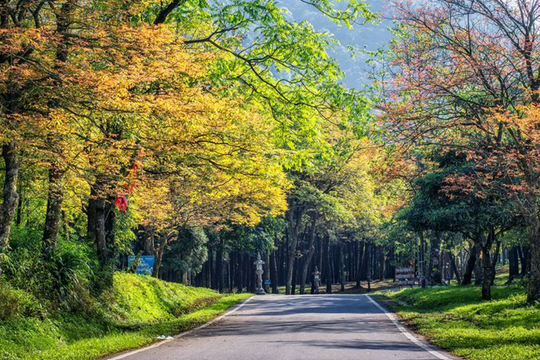 Đi đâu dịp lễ nếu có con nhỏ: 4 điểm du lịch giúp bố mẹ "nhàn tênh"