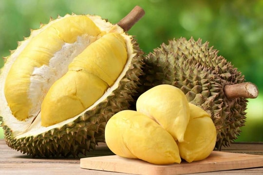 Giá sầu riêng hôm nay 12/4: Musang King giữ giá cao, Ri6 giảm nhẹ
