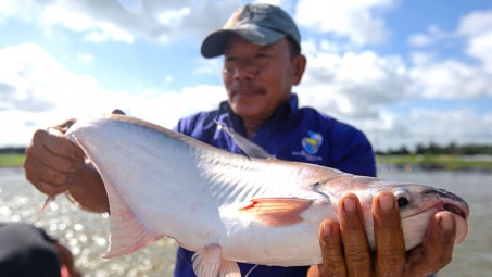 Cổ phiếu Vua cá tra một thời thoát đáy nhờ cú huých kép
