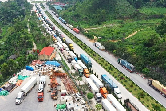 Doanh nghiệp nào đang khai thác tốt “thị trường sát vách”?