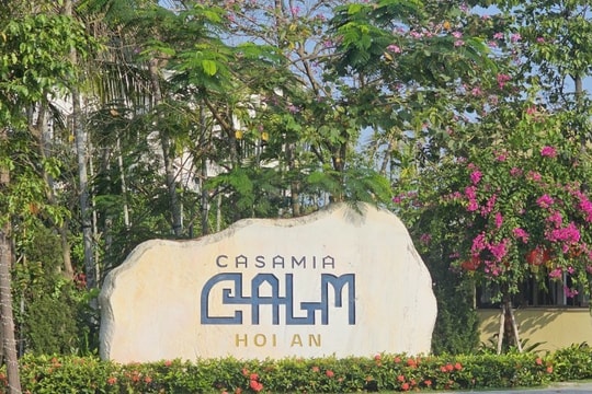 Dự thu 4.200 tỷ đồng nhờ dự án tại Hội An, Đạt Phương đang đi đúng hướng?