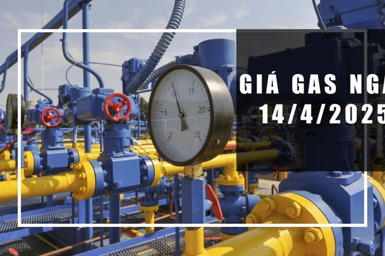 Giá gas hôm nay 14/4/2025: Thế giới giảm sâu, nội địa bình ổn