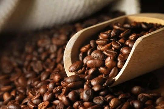 Dự báo giá cà phê ngày 15/4/2025: Giằng co sau phục hồi, liệu có đột biến mới?