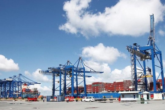 Một doanh nghiệp logistics tăng tỷ lệ trả cổ tức sau năm lãi kỷ lục