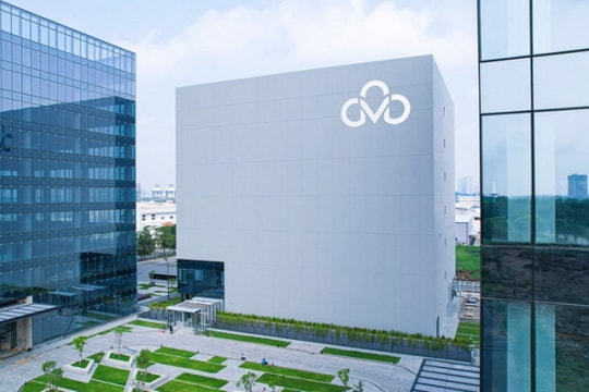 Tập đoàn CMC lên tiếng về việc bị tấn công mã độc tống tiền