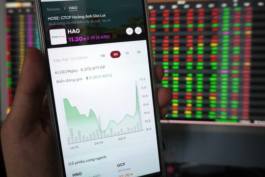 Nhà đầu tư tranh mua cổ phiếu vàng trong làng bán chuối