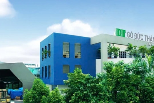 Gỗ Đức Thành: Chủ tịch thế chấp nhà đất vay tiền cho Công ty