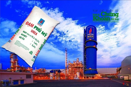 DPM quý I/2025: “Ngủ đông” hay ém mình chờ bứt phá?