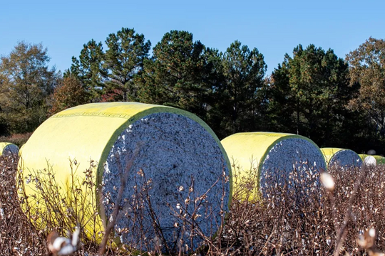 Mỹ gửi đến Ấn Độ một mặt hàng quan trọng với giá rẻ bất ngờ: Nhập khẩu tăng gấp 6 lần trong 2 tháng, Việt Nam cũng đang 'chốt đơn' hàng trăm nghìn tấn
