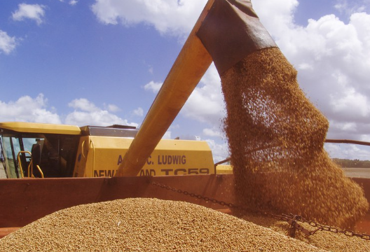 Nga gửi sang Việt Nam hàng trăm nghìn tấn ‘báu vật’ với giá rẻ bất ngờ: Nhập khẩu tăng mạnh 151% trong quý 1, nước ta thuộc Top 10 tiêu thụ nhiều nhất thế giới