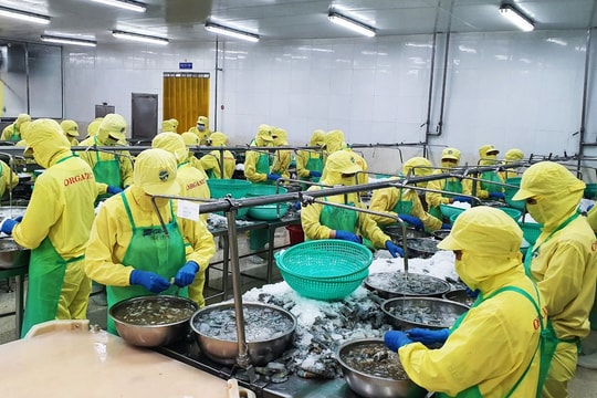 Tăng cường hỗ trợ pháp lý cho doanh nghiệp vừa và nhỏ tại tỉnh cực Nam đất nước