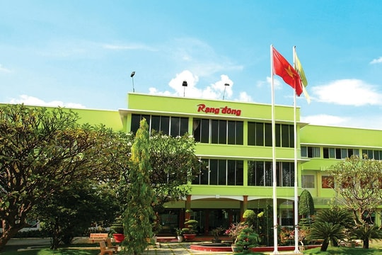 Cú trượt dài của Rạng Đông Holding (RDP)