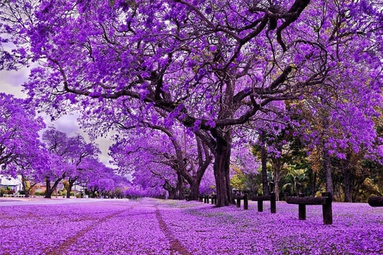 Vì sao cổ phiếu SHB lại trở thành “thỏi nam châm” hút mạnh tiền phiên hôm nay?