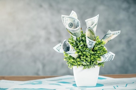 Lịch chốt quyền cổ tức tuần từ 21-25/4: FOX, GEE, VIB... mở hầu bao khủng