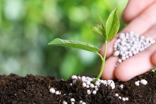 Hàng trăm nghìn tấn mặt hàng giá rẻ từ Trung Quốc, Lào vào thị trường Việt: Sắp phải chịu thuế 5%