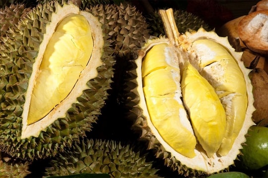 Giá sầu riêng hôm nay 21/4: Ri6 nhích tăng, Thái loại A tiệm cận mốc kỷ lục