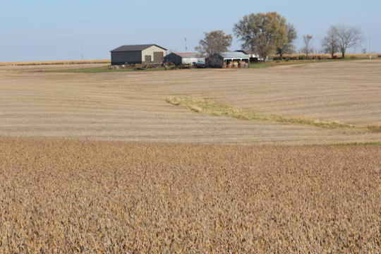 Trung Quốc ồ ạt nhập khẩu một loại nông sản quan trọng từ Mỹ do lo ngại thuế quan, Việt Nam cũng vừa chốt đơn hàng trăm nghìn tấn