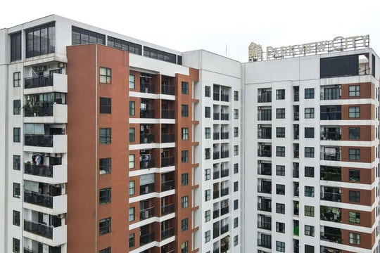 Chủ tịch Dabaco thông tin về dự án Dabaco Park View tại Bắc Ninh