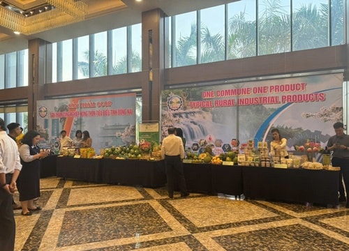 Doanh nghiệp Đồng Nai nhận nhiều hỗ trợ thiết thực sau Hội nghị đối thoại năm 2025