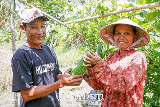 Nông dân Cà Mau 'hô biến' 6.000m² đất cằn thành cơ ngơi trù phú