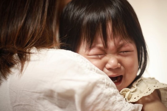 Dạy con làm chủ cảm xúc, nhưng phương pháp của cha mẹ Việt và cha mẹ Nhật lại khác nhau hoàn toàn