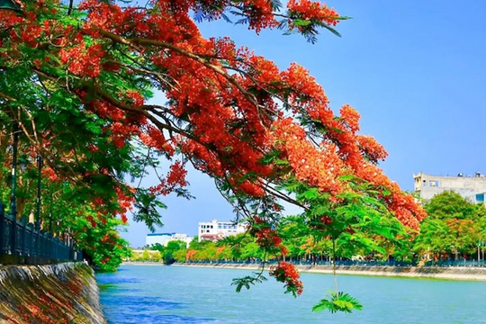 1 thành phố trực thuộc TƯ vừa có biển vừa có núi, là địa điểm lý tưởng dịp 30/4 này: Rẻ và đẹp bất ngờ, đi tàu chỉ hơn 100k