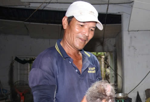 Từ Bắc vào Nam lập nghiệp, người nông dân đổi đời nhờ nuôi loài vật chỉ ăn tre và sống trong bóng tối