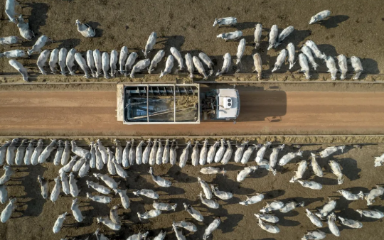 Mỹ - Trung áp thuế qua lại, lộ diện 2 quốc gia đầu tiên hưởng lợi lớn trên thị trường nông sản