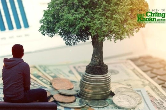 Một đơn vị chốt trả cổ tức tiền mặt sau 10 năm, nhưng lại không phải là ngân hàng nọ