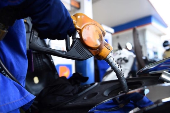 Giá xăng dầu hôm nay 6/9/2025: Giảm mạnh sau đợt tăng liên tiếp