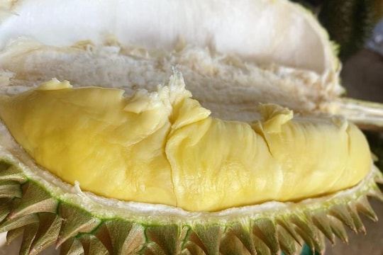 Giá sầu riêng hôm nay 25/4: Thái A chạm đỉnh, Ri6 "lẹt đẹt" giữ đáy