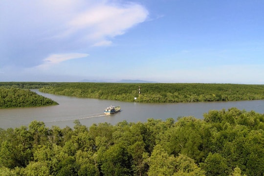 Gần TP.HCM có địa danh được ví như “Amazon thu nhỏ”: Rộng hơn 75.000ha, là “ốc đảo xanh” cho những ai thích "sống chậm"