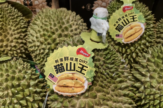 Sau Thái Lan và Việt Nam, Trung Quốc chuẩn bị nhập khẩu sầu riêng từ ‘ông trùm’ thế giới, sản lượng 2 triệu tấn mỗi năm