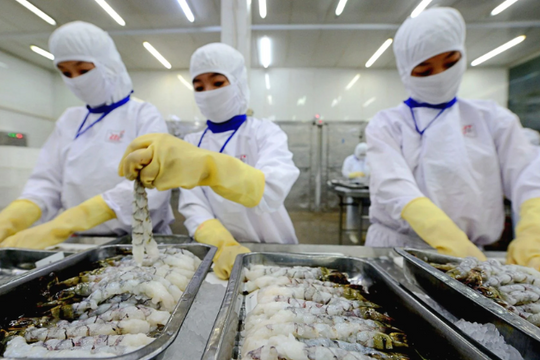 Lãnh đạo PAN Group tiết lộ kế hoạch 45 ngày đêm "vượt sóng"