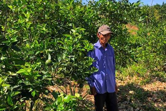 Người nông dân lớn tuổi "hồi sinh" đất hoang bằng mô hình nông nghiệp hữu cơ gắn với du lịch