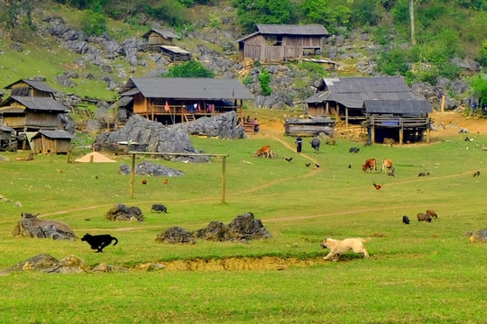 Ngôi làng nguyên thủy "3 không" ở Mộc Châu khiến du khách mê mẩn