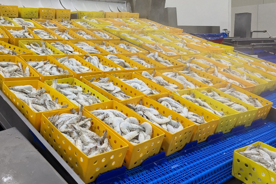 Một mặt hàng của Việt Nam được Mỹ, Trung Quốc cực ưa chuộng: Thu về hơn 900 triệu USD kể từ đầu năm, người Mỹ đang tăng cường tích trữ