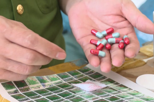 Phó Thủ tướng Lê Thành Long chỉ đạo xử lý vấn đề thuốc chữa bệnh giả