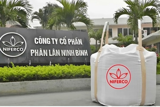 Giải mã đà tăng thần tốc của cổ phiếu NFC