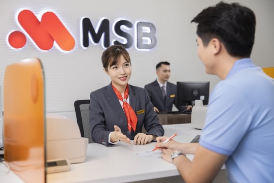 Thất thu mảng ngoại hối, MSB đối diện mối lo về rủi ro tỷ giá?