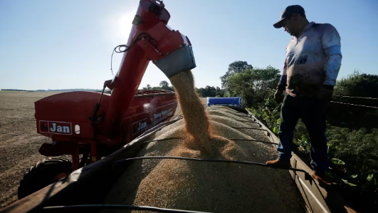 ‘Quay lưng’ với hàng hóa Mỹ, cứu tinh nông sản cho Trung Quốc chính thức lộ diện: 700.000 tấn hàng cập bến trong tháng 4
