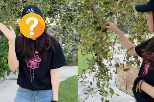 Sau ánh đèn sân khấu, 'chị đẹp' showbiz Việt tìm bình yên giữa vườn cây trái xanh mướt ở ngoại ô Sài Gòn
