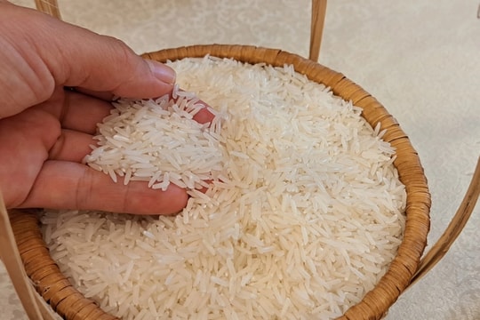 Giá lúa gạo hôm nay 2/5: Thị trường trầm lắng sau lễ