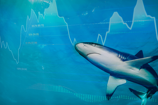 Một "cá mập" có tiếng vừa bị phạt tiền tỷ và đình chỉ giao dịch 4 tháng