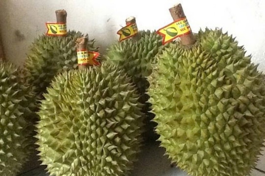 Giá sầu riêng hôm nay 2/5: Thái giảm nhẹ, xuất khẩu sầu riêng đông lạnh tăng mạnh ở nhiều thị trường