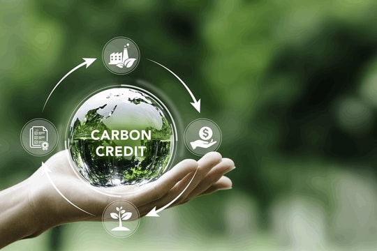 Tín chỉ carbon – Hướng mở cho tài sản bảo đảm và thị trường tài chính xanh tại Việt Nam
