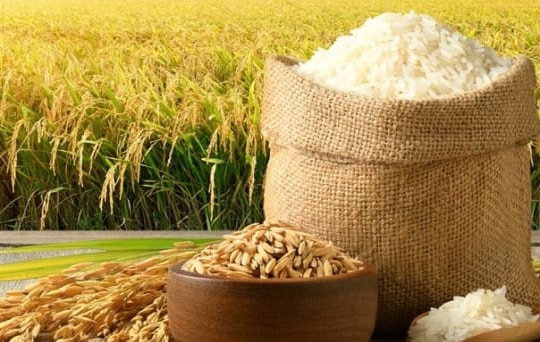 Giá lúa gạo hôm nay 5/5: Giao dịch im ắng, nhưng mặt bằng giá gạo vẫn "neo đỉnh"