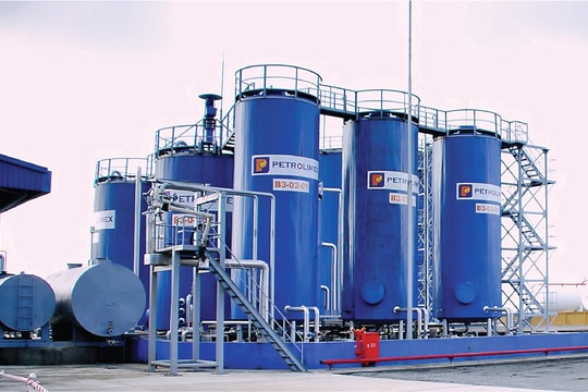 Cổ phiếu PLC - Ngôi sao đang lên hay ẩn số khó lường?