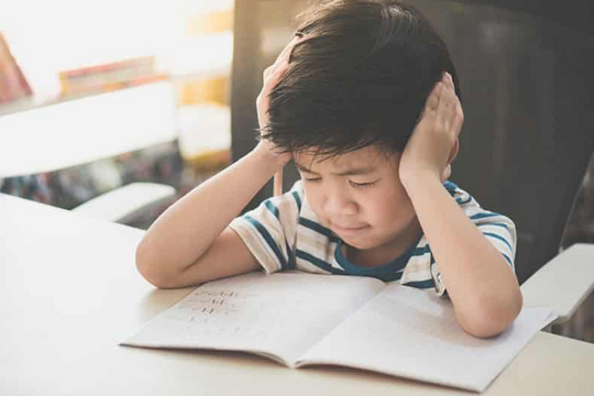 Không cần điểm cao hay phần thưởng, đây mới là "chìa khóa" khiến trẻ tự giác học mỗi ngày