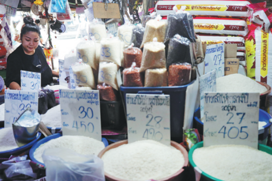 Sau sầu riêng, thêm một mặt hàng chủ lực của Thái Lan gặp khó: Xuất khẩu giảm 30% trong quý 1, cạnh tranh giá với Ấn Độ, Việt Nam